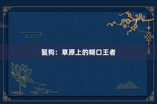 鬣狗：草原上的糊口王者