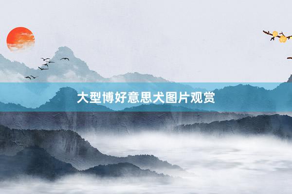 大型博好意思犬图片观赏