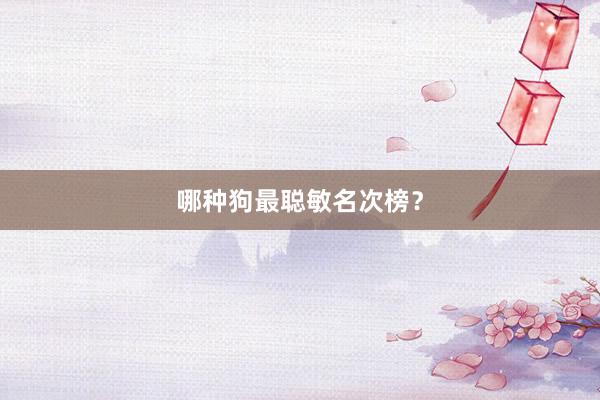 哪种狗最聪敏名次榜？