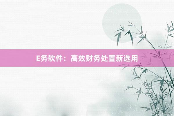 E务软件：高效财务处置新选用